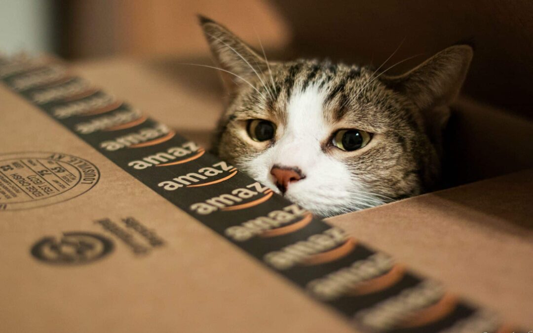 Perché Amazon rompe le scatole